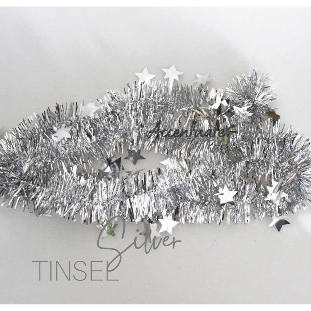 2M Long Tinsel - Plain Silver + Stars